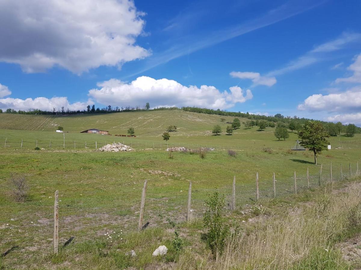 Warias Hotel & Restaurant Braunsbedra Екстериор снимка